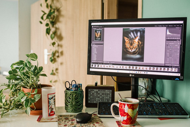 Outdated or Corrupt Software